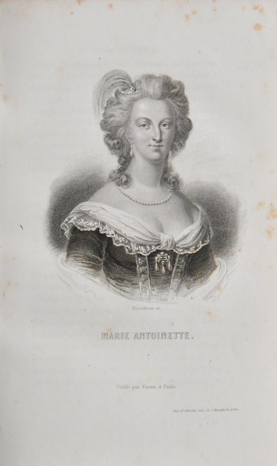  "Histoire de la révolution française" 10 vol Adolphe Thiers Éditions Furne et Cie Paris 1857