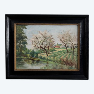 Oil on panel 20th century watercourse trees in bloom blackened wooden frame