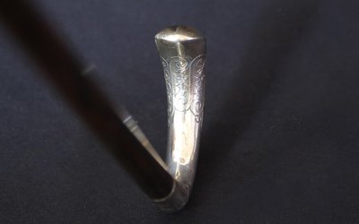 Canna da zucchero Art Nouveau, argento