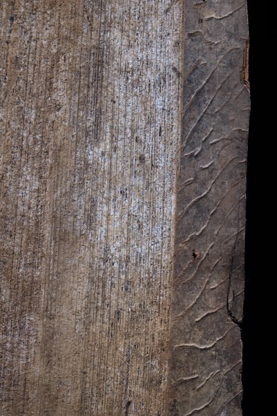 Bemalte Rinde, Stammeskunst, Ozeanische Kunst, Ozeanien, Papua-Neuguinea, 105 x 43 cm