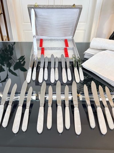 12 Vintage table knives and 12 dessert knives - Mother-of-pearl-effect handles and stainless steel blades