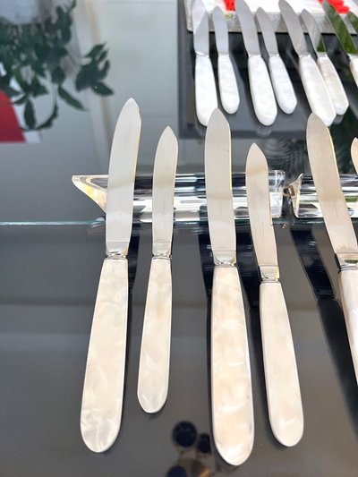 12 Vintage table knives and 12 dessert knives - Mother-of-pearl-effect handles and stainless steel blades