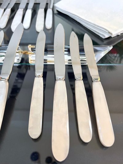 12 Vintage table knives and 12 dessert knives - Mother-of-pearl-effect handles and stainless steel blades