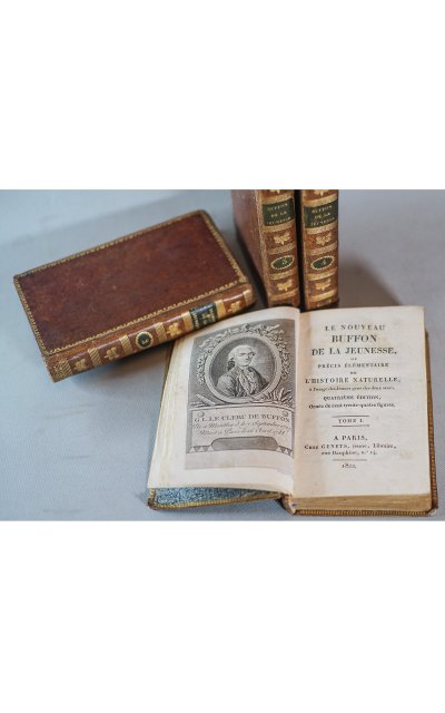Le BUFFON de la jeunesse, Précis élémentaire d’ HISTOIRE NATURELLE 4 vol. 1822