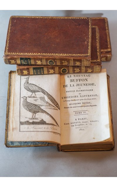 Le BUFFON de la jeunesse, Précis élémentaire d’ HISTOIRE NATURELLE 4 vol. 1822
