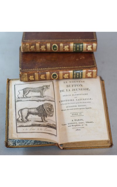 Le BUFFON de la jeunesse, Précis élémentaire d’ HISTOIRE NATURELLE 4 vol. 1822