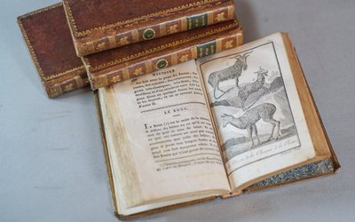 Le BUFFON de la jeunesse, Précis élémentaire d’ HISTOIRE NATURELLE 4 vol. 1822