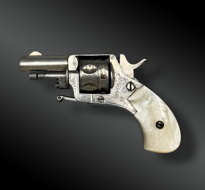 Luxury REVOLVER bulldog box called Puppy - Liège, Belgium - XIXth century
