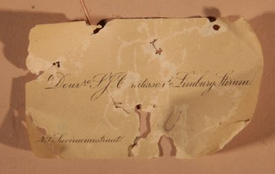 Very rare Hindeloopen-style doll's chair, dated 1796