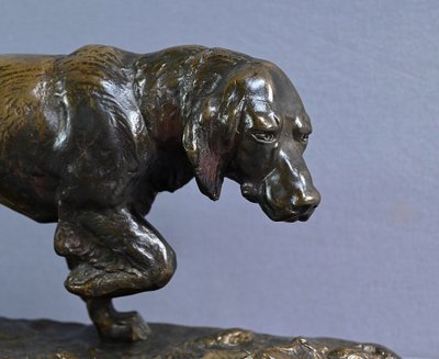 Bronze "Chien de Chasse" signed E. Samson - Late 19th century