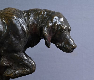 Bronze "Chien de Chasse" signed E. Samson - Late 19th century