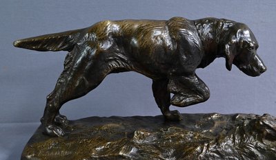 Bronze "Chien de Chasse" signed E. Samson - Late 19th century