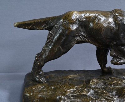 Bronze "Chien de Chasse" signed E. Samson - Late 19th century