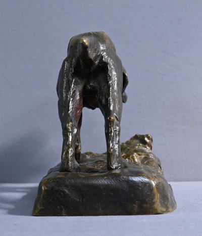 Bronze "Chien de Chasse" signed E. Samson - Late 19th century