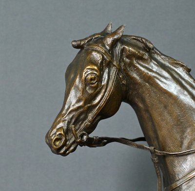 Cavallo "Saucebox" in bronzo, di P. Lenordez - seconda metà del XIX secolo