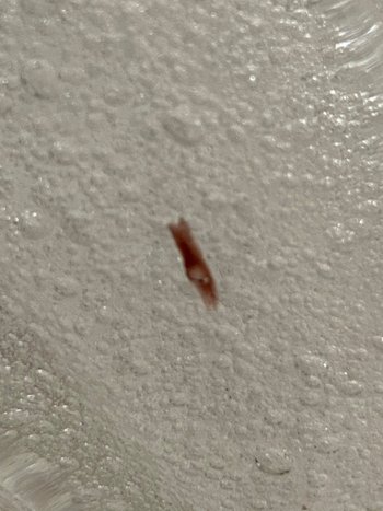 Vase aus mundgeblasenem Kristall mit eingearbeiteten Blasen, doppelschichtig