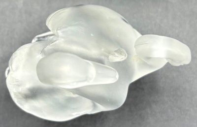 LALIQUE SUBJECT