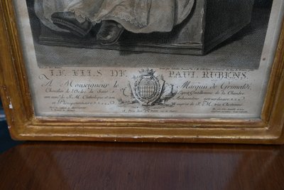 18th-century engraving of Rubens' son for the Marquis de Grimaldi