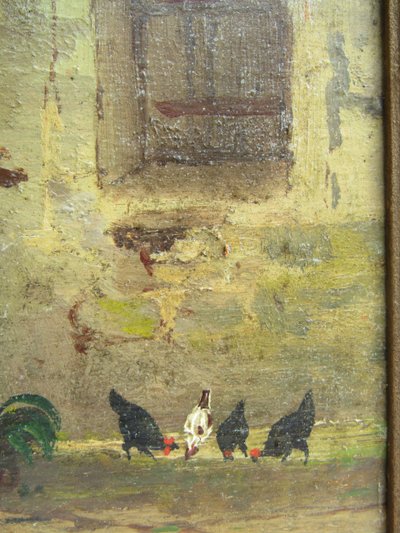 Galline da tavola