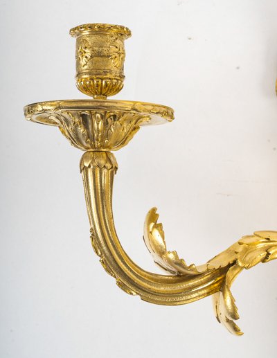 Coppia di appliques a forma di gallo in ormù in stile Luigi XV-Luigi XVI