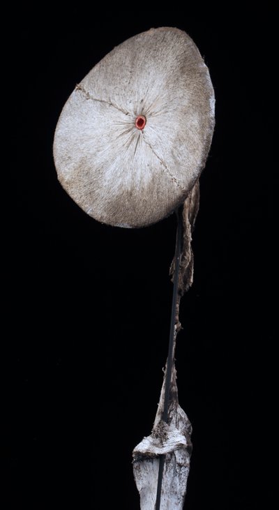 Baining-Kostüm, Stammeskunst, Ozeanische Kunst, Ozeanien, Frühe Neuzeit, Papua-Neuguinea, 133 cm