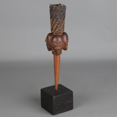 Baoulé-Fliegenklatsche – Elfenbeinküste