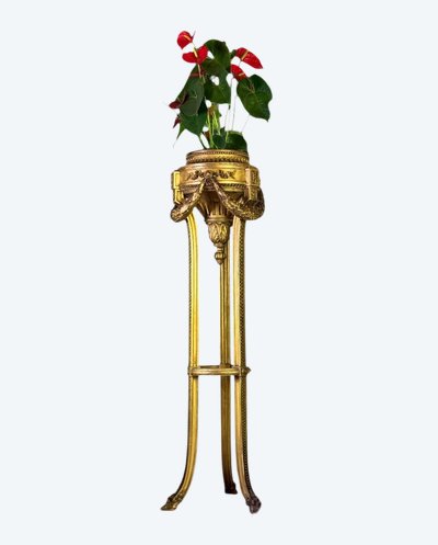 Louis XVI Style Jardiniere in Carved and Gilded Wood Circa 1900