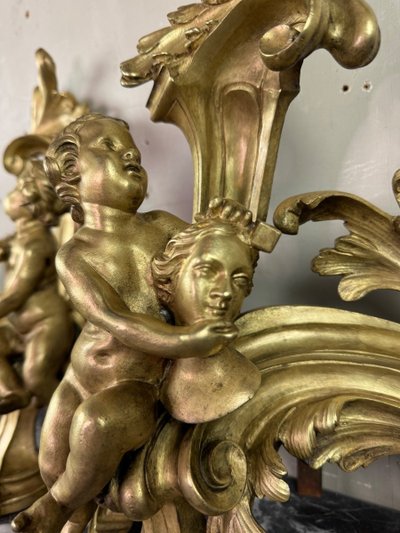 Coppia di chenêts in bronzo dorato e cesellato su modello di Jacques Caffieri, Parigi XIX secolo