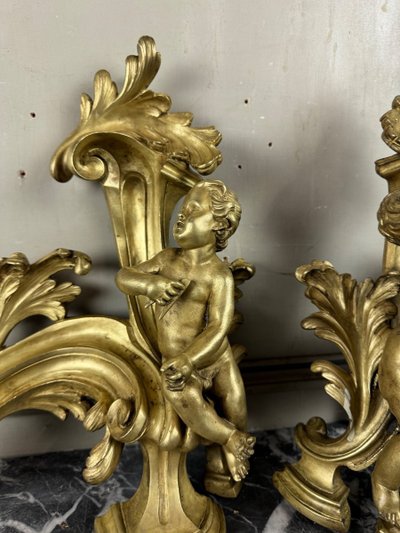 Coppia di chenêts in bronzo dorato e cesellato su modello di Jacques Caffieri, Parigi XIX secolo