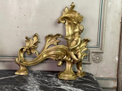 Coppia di chenêts in bronzo dorato e cesellato su modello di Jacques Caffieri, Parigi XIX secolo