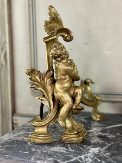 Coppia di chenêts in bronzo dorato e cesellato su modello di Jacques Caffieri, Parigi XIX secolo