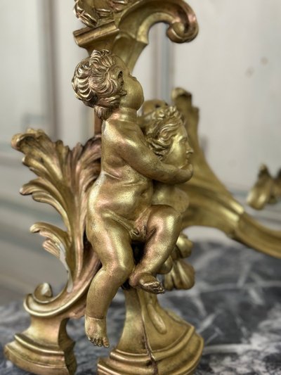 Coppia di chenêts in bronzo dorato e cesellato su modello di Jacques Caffieri, Parigi XIX secolo