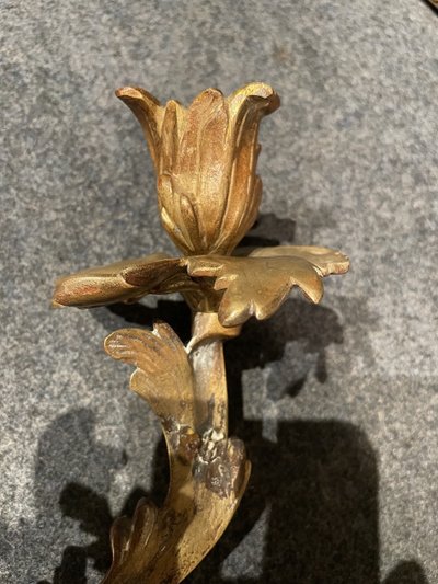 Coppia di applique in bronzo in stile Luigi XV