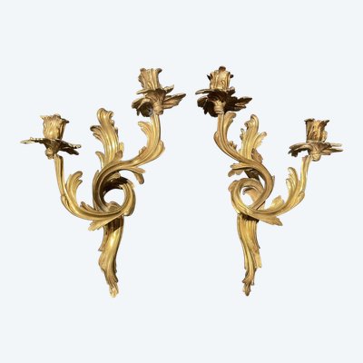 Coppia di applique in bronzo in stile Luigi XV
