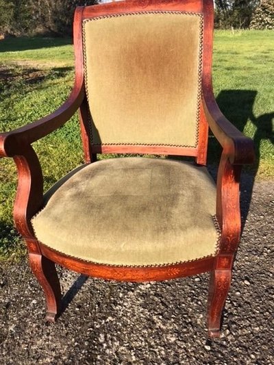 Paire de Fauteuils Charles X