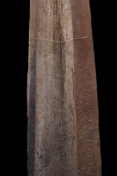 Bemalte Rinde, Ozeanische Kunst, Erste Kunst, Stammeskunst, Gemälde, Ozeanien, Pangal, 117 cm