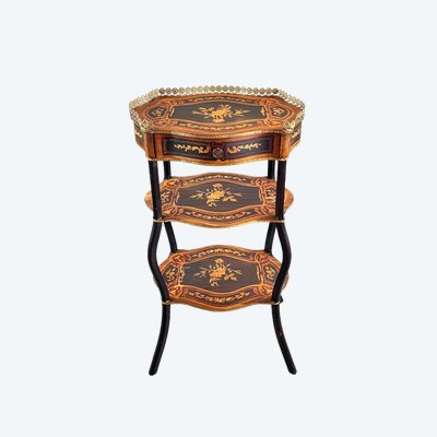 Elegant Marquetry Shelf Table, Napoleon III Period