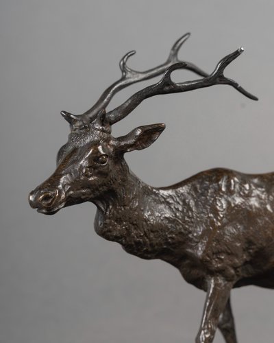 Scultura - Il cervo che cammina, Pierre-Jules Mêne (1810-1879) - Bronzo