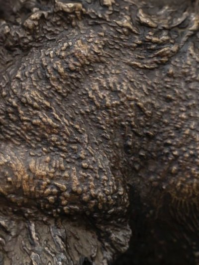 Sculpture - Spaniel Dog On The Lookout , Ferdinand Pautrot (1832 - 1874) - Bronze