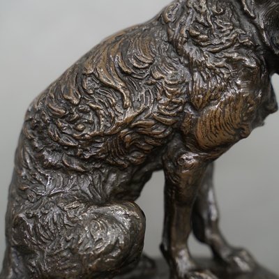 Scultura - Cane Terrier seduto, Emmanuel Frémiet (1824-1910) - Bronzo