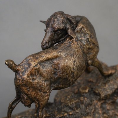 Scultura - "Capra delle Indie", Pierre - Jules Mêne (1810-1879) - Bronzo