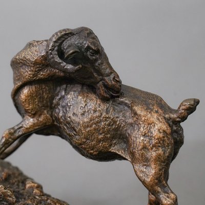 Scultura - "Capra delle Indie", Pierre - Jules Mêne (1810-1879) - Bronzo