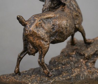 Scultura - "Capra delle Indie", Pierre - Jules Mêne (1810-1879) - Bronzo