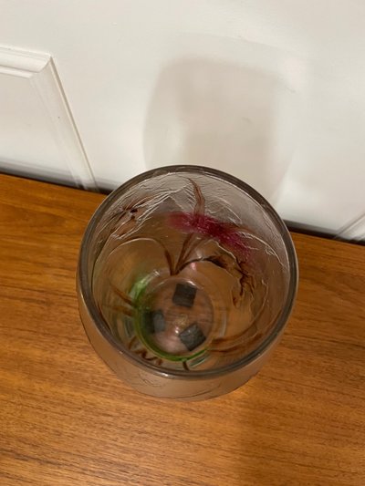 Vaso in vetro satinato Art Nouveau con decorazione a iris, periodo Art Nouveau