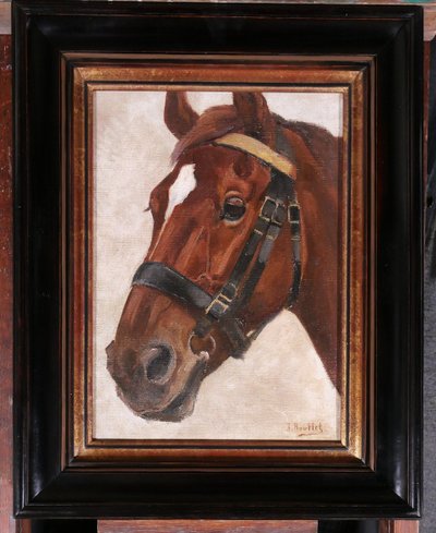 Jules ROUFFET 1862-1931 Ritratto di un cavallo, dipinto, circa 1900 animali da equitazione