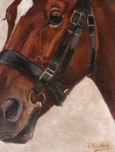 Jules ROUFFET 1862-1931 Ritratto di un cavallo, dipinto, circa 1900 animali da equitazione
