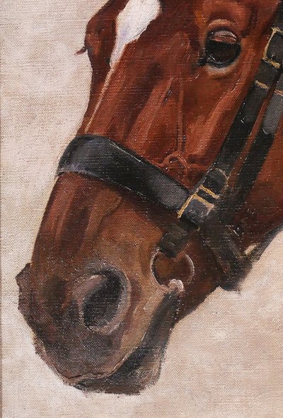 Jules ROUFFET 1862-1931 Ritratto di un cavallo, dipinto, circa 1900 animali da equitazione