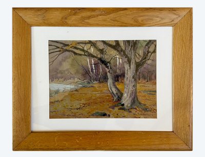 Dessin d'Edouard DOIGNEAU - Forêt de Fontainebleau