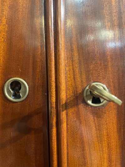Two Charles X Period Mahogany Bodies Forming a Display Case
