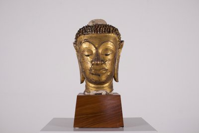 Grande testa di Buddha in stucco, Regno di Ayutthaya